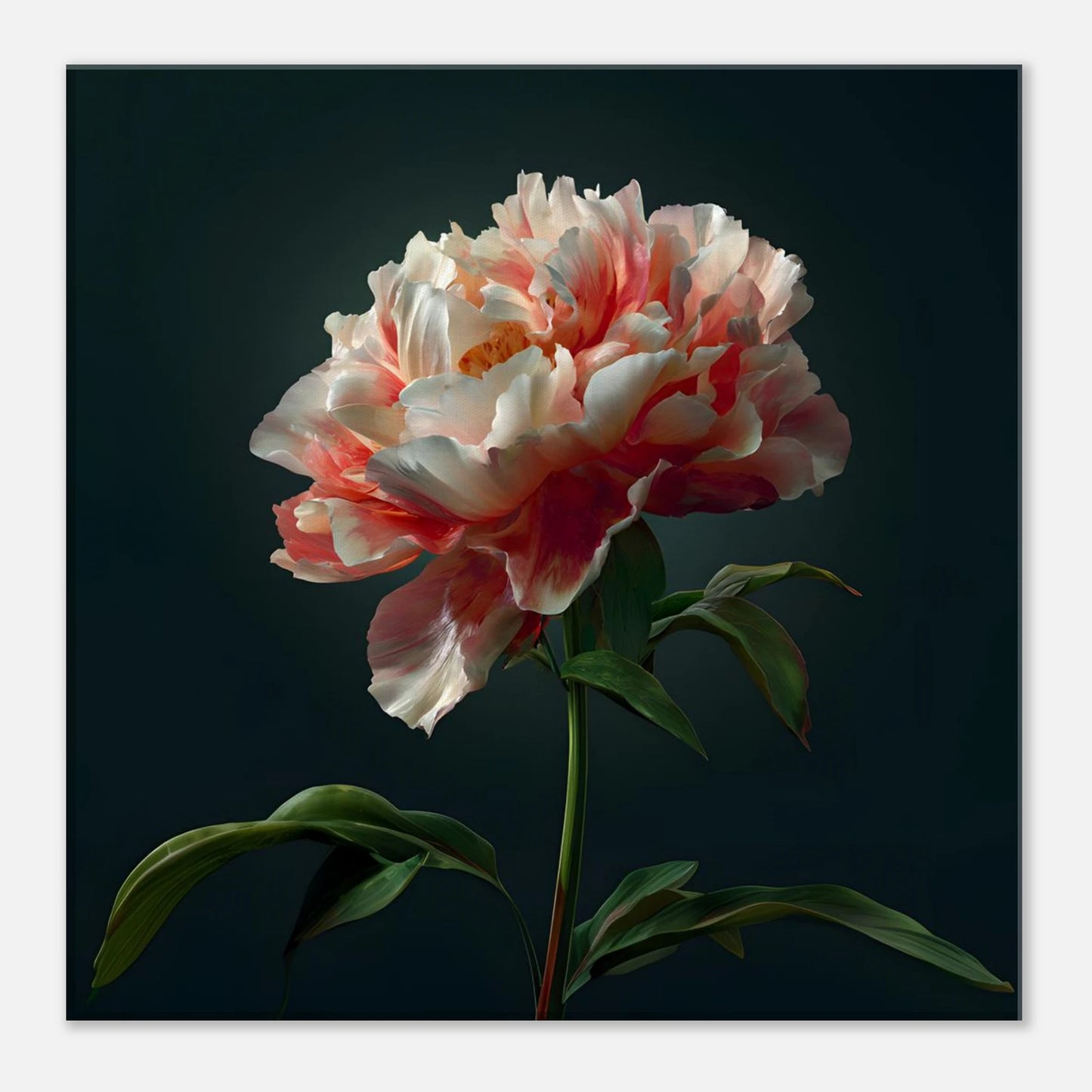 113ced80-fb9e-45a6-914e-14ccb351d8df