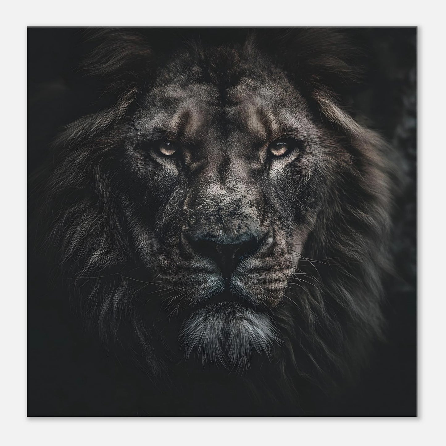 14a2653b-4e49-4d59-a5d0-ddcad0afb197