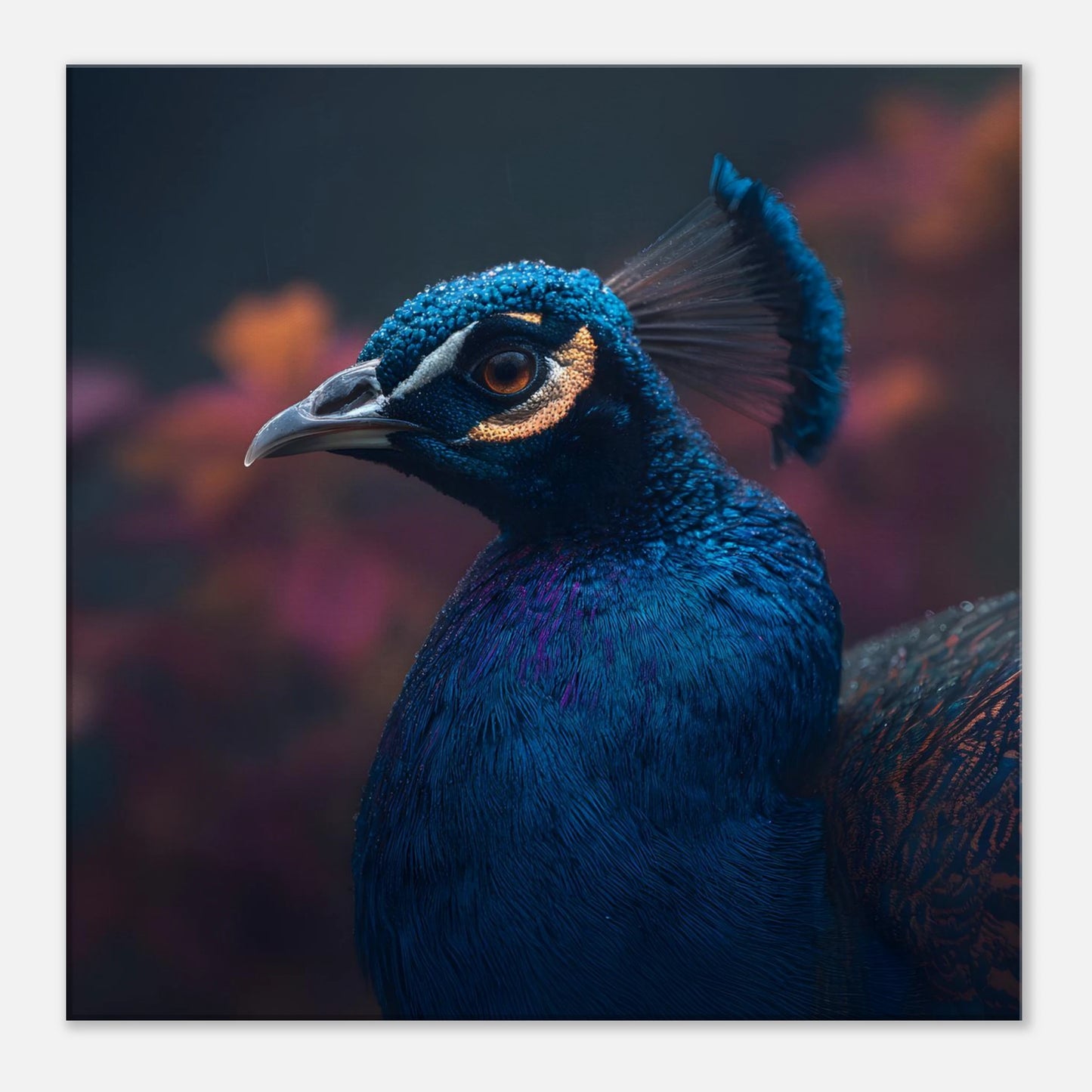 2d07b555-bd8e-4d8e-9974-d55330b7d14d