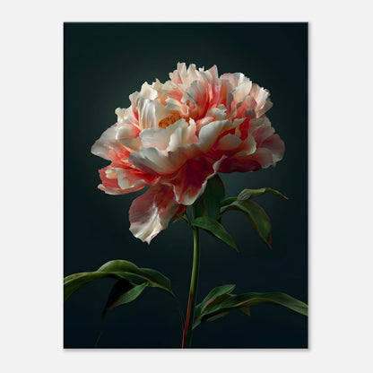 31703344-0b07-404f-b091-bd703fb9ed69