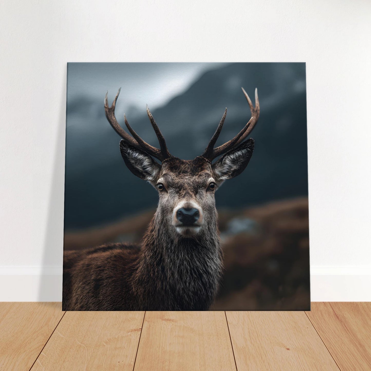 360ffdce-24b2-4ff6-9685-0704f3c633a4