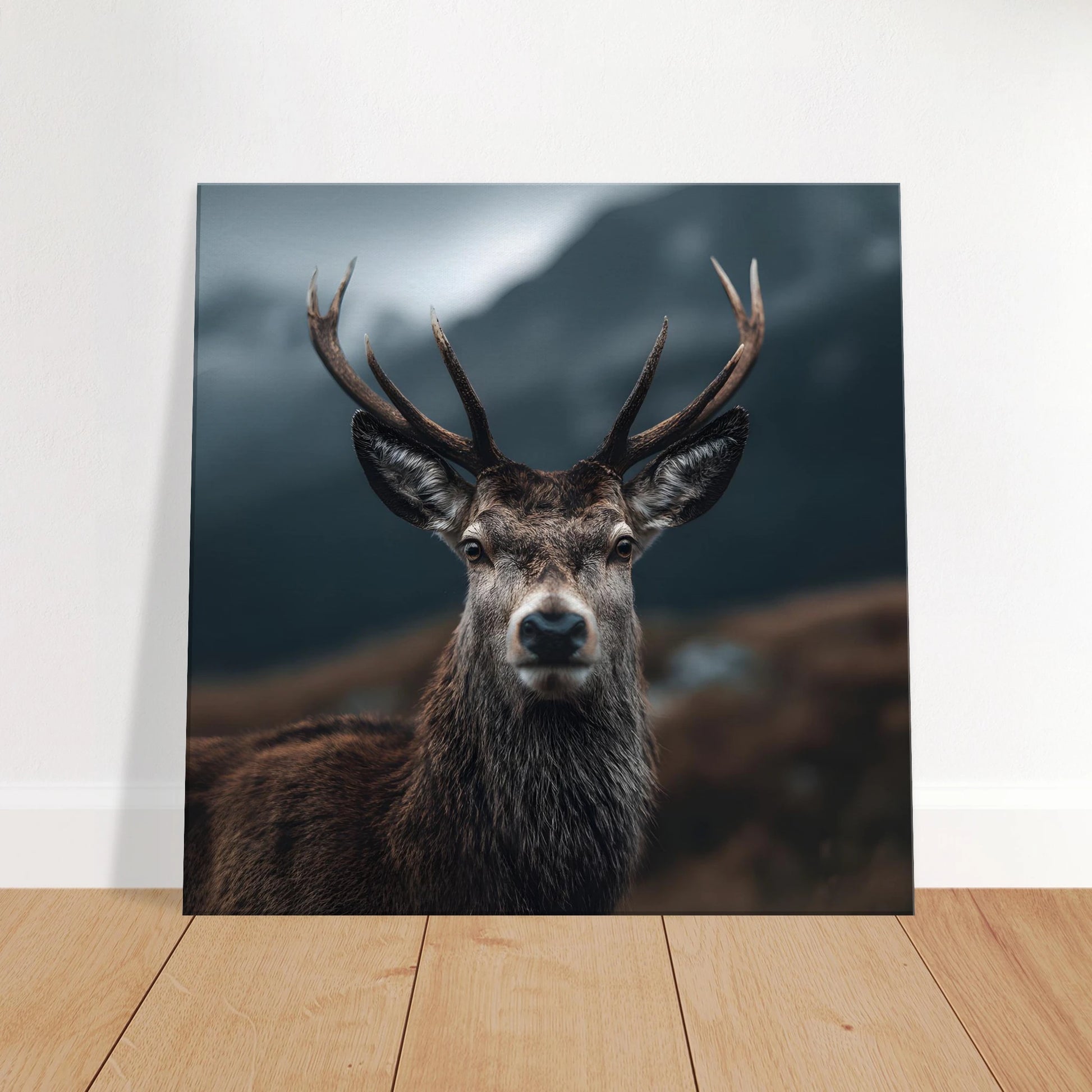 360ffdce-24b2-4ff6-9685-0704f3c633a4