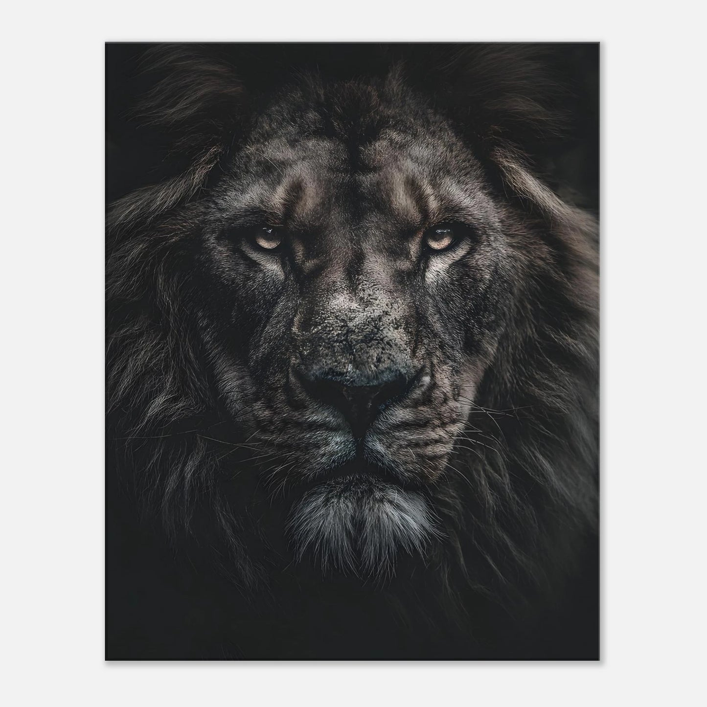 54aebb04-1f8a-422f-954e-09b50e144005