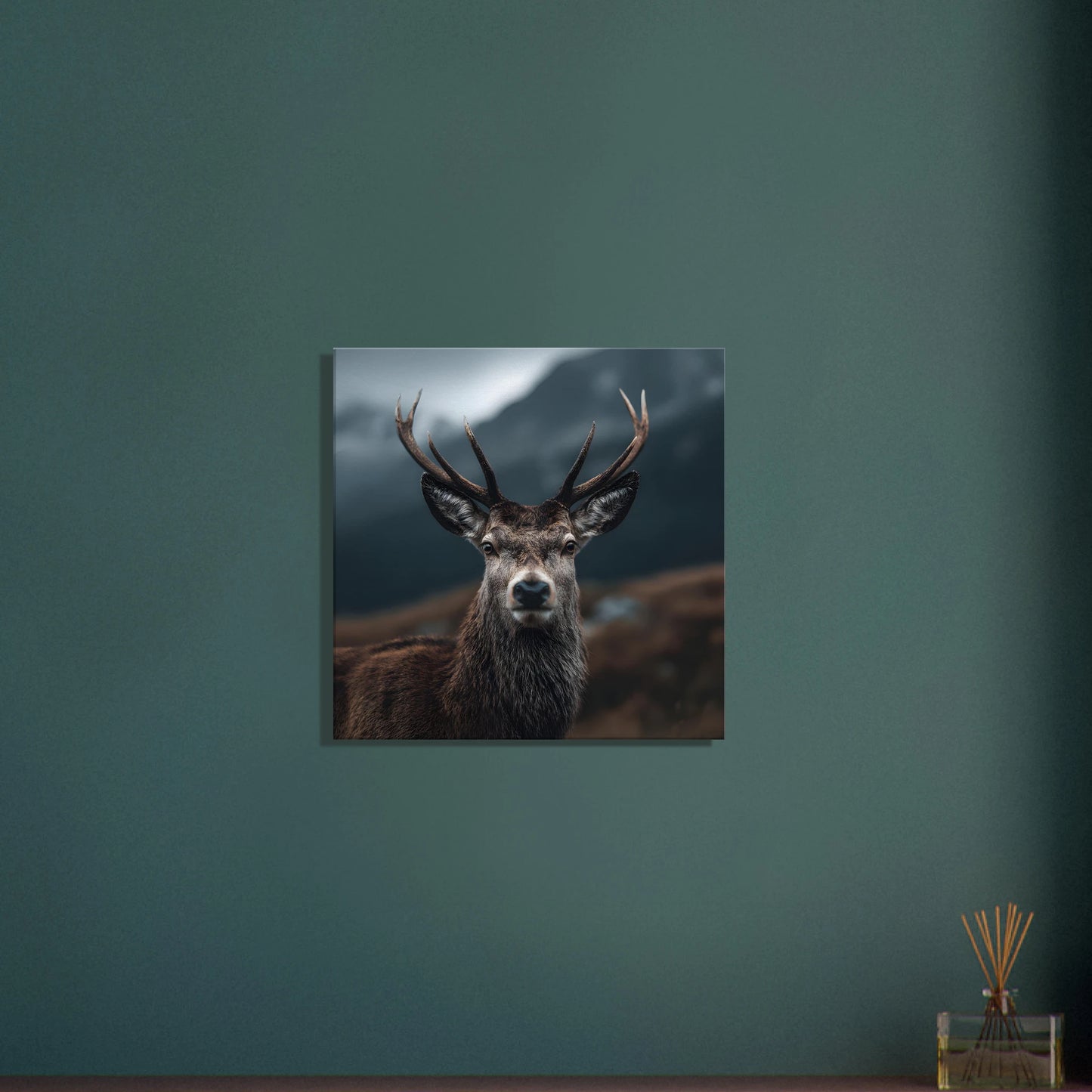 55836cef-ecf8-4a04-ac6b-d794709bbaa9