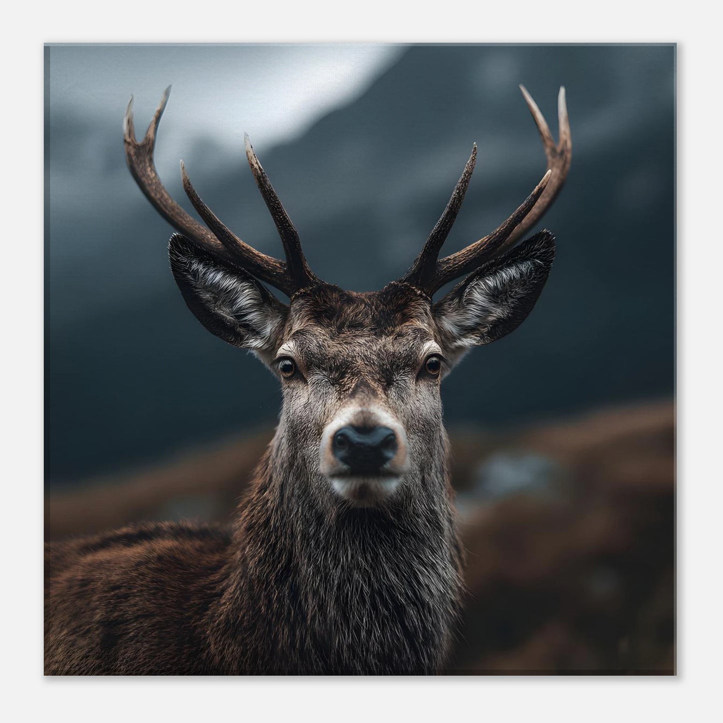 5f12d2be-81c7-453f-a591-3877d572c6d2