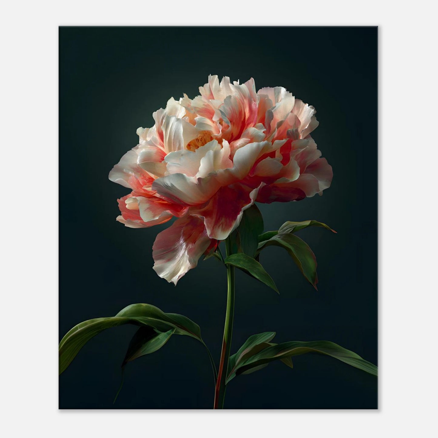 82ef3766-0d74-4d9e-a57d-6807c4b25475