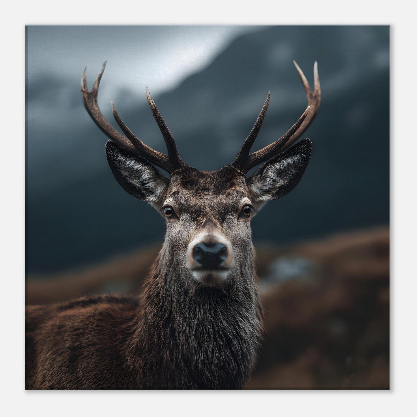 acccc8cd-42a8-49df-a0b9-0311ba6c358b