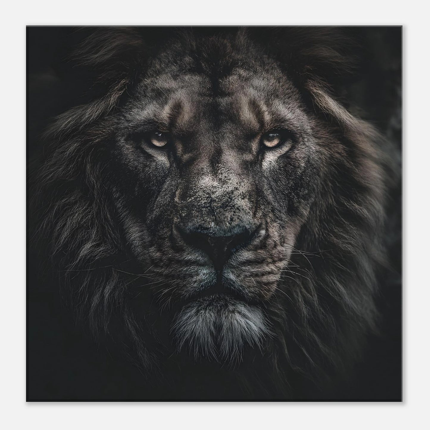 b54859d7-ac0d-42c4-af94-a84a44216462