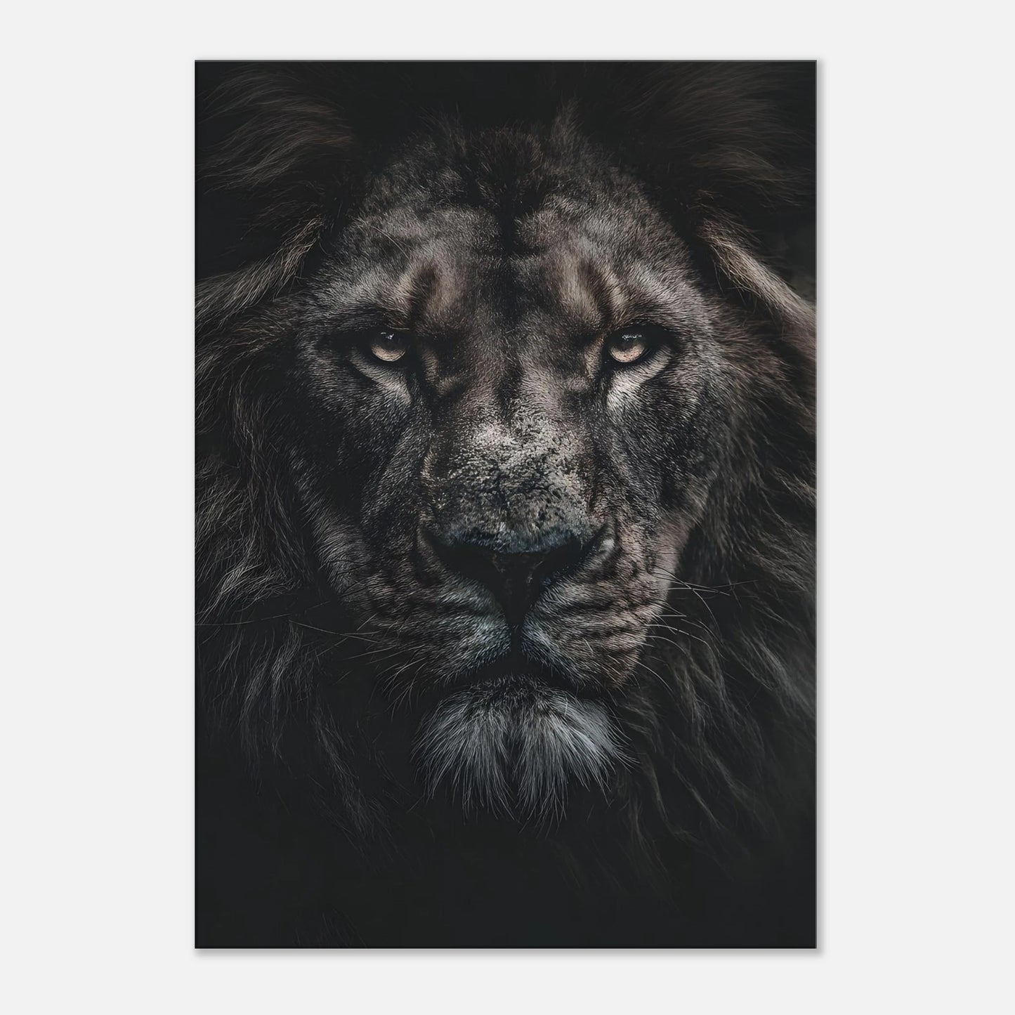 b65defe3-a061-4bce-9f25-1ba1092bbff6